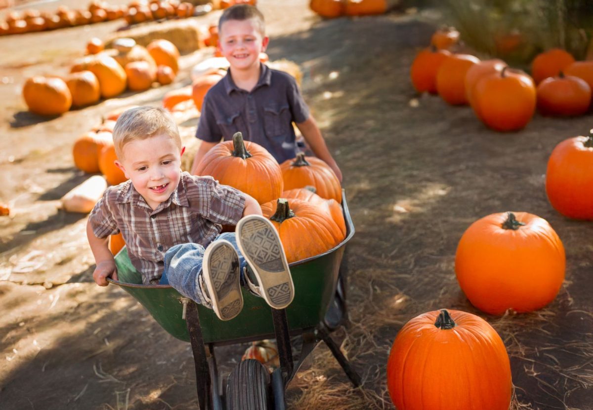 two young kids in pumpkin patch
